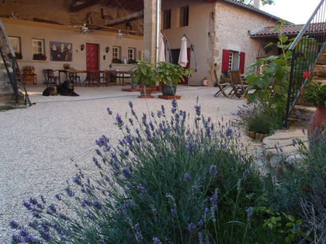 Marsaz Ferme Robin Bed & Breakfast エクステリア 写真
